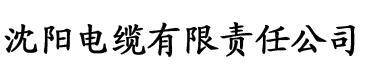 91香蕉在线污电缆厂logo